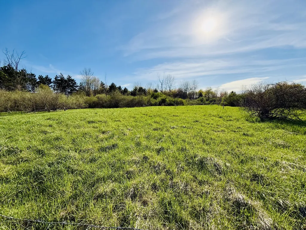 1525 S Poplar Road Custer Township MI 49405
