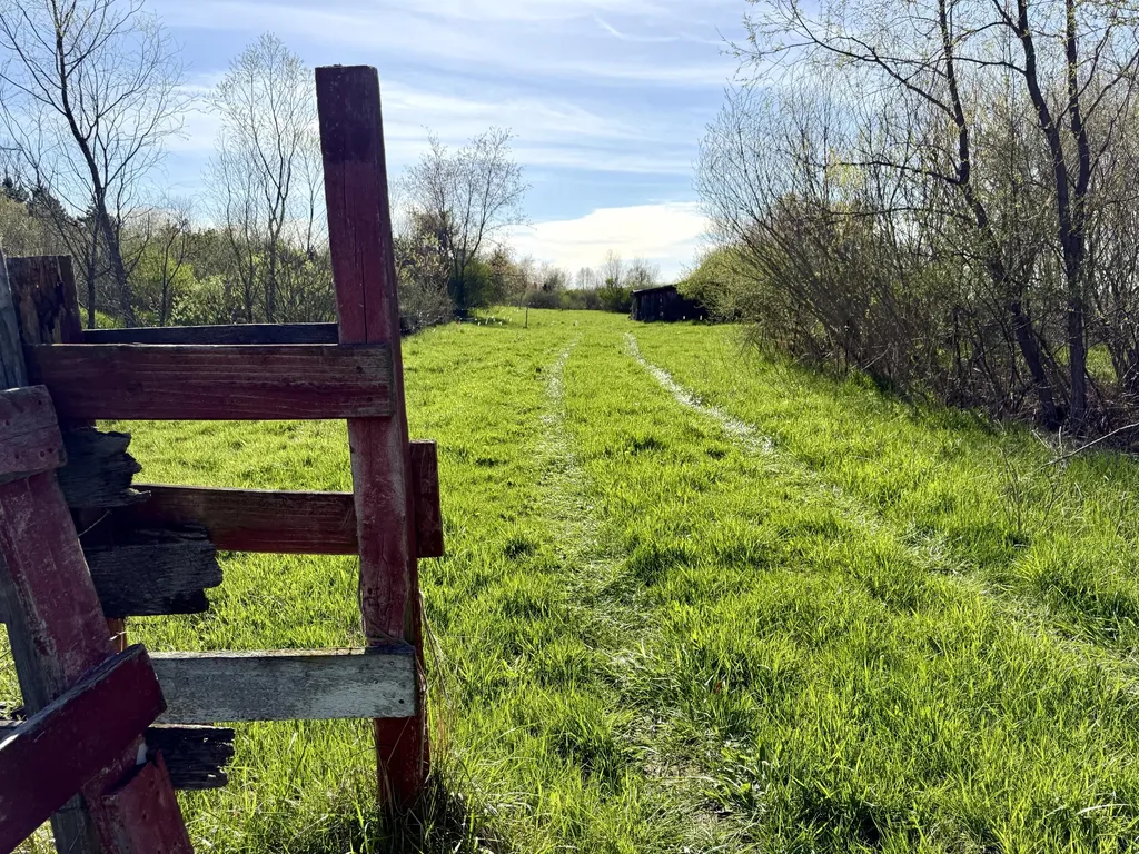 1525 S Poplar Road Custer Township MI 49405