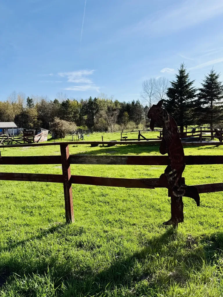 1525 S Poplar Road Custer Township MI 49405