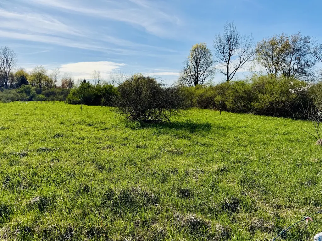 1525 S Poplar Road Custer Township MI 49405