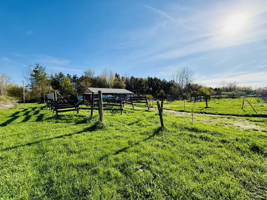 1525 S Poplar Road Custer Township MI 49405