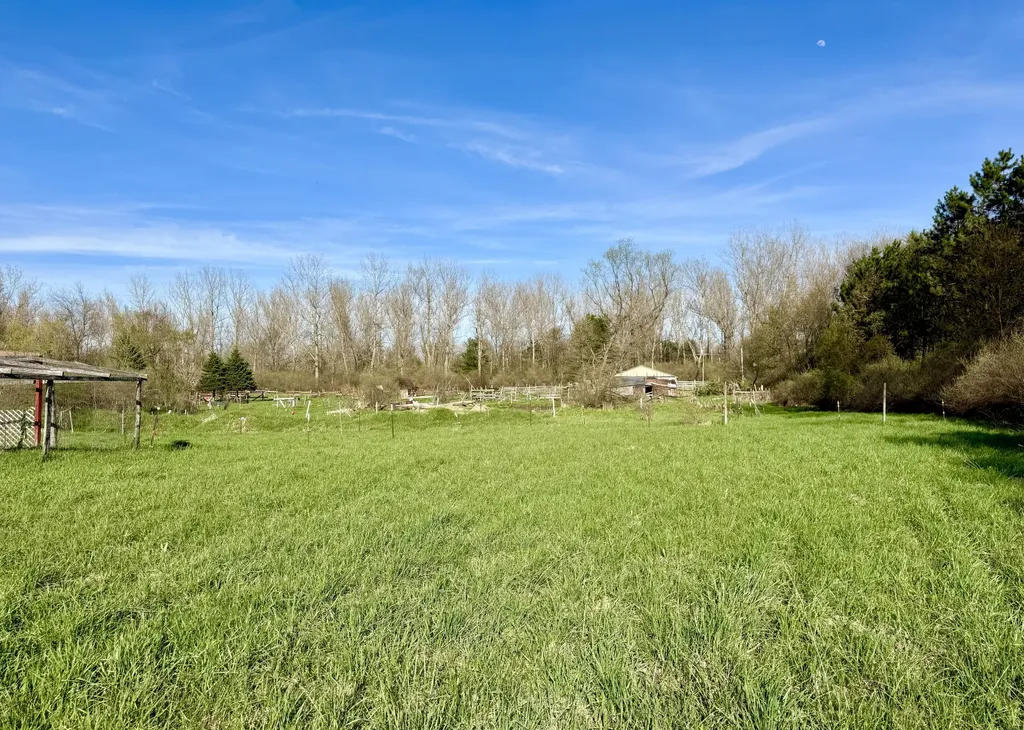 1525 S Poplar Road Custer Township MI 49405