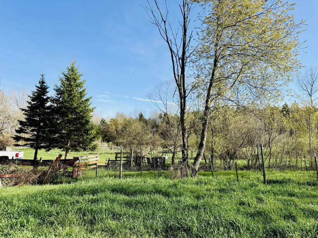 1525 S Poplar Road Custer Township MI 49405