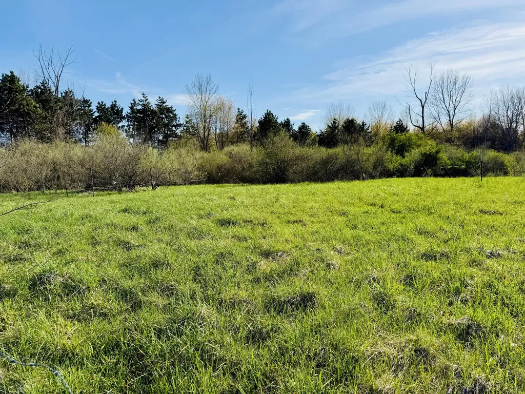 1525 S Poplar Road Custer Township MI 49405