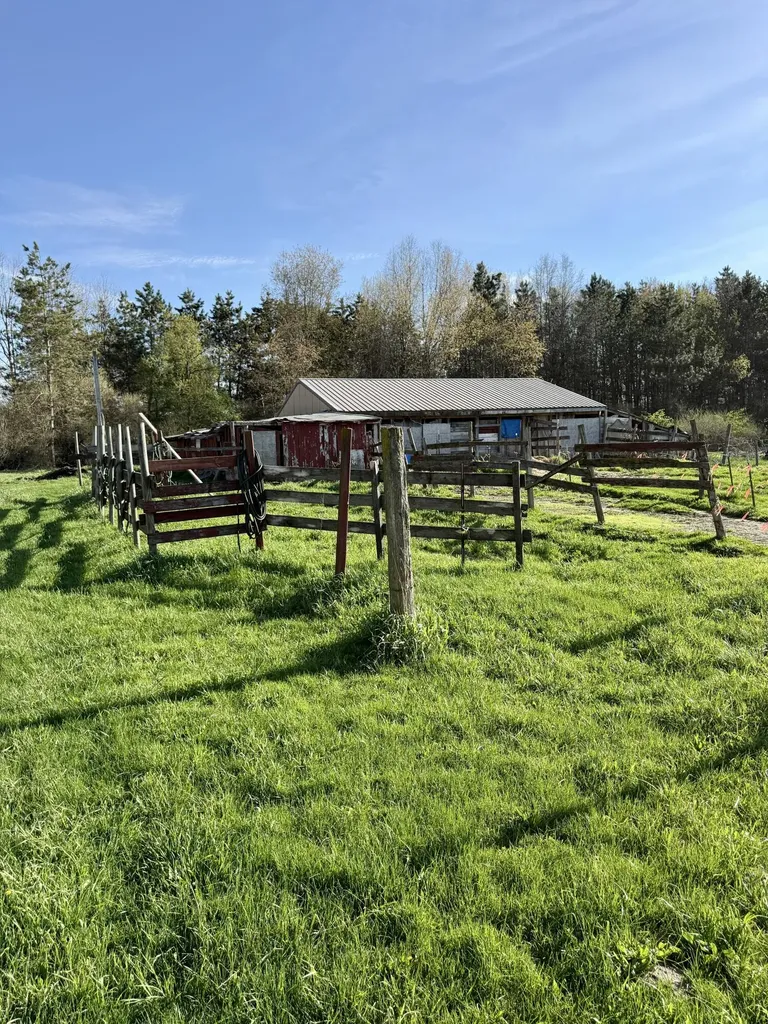 1525 S Poplar Road Custer Township MI 49405