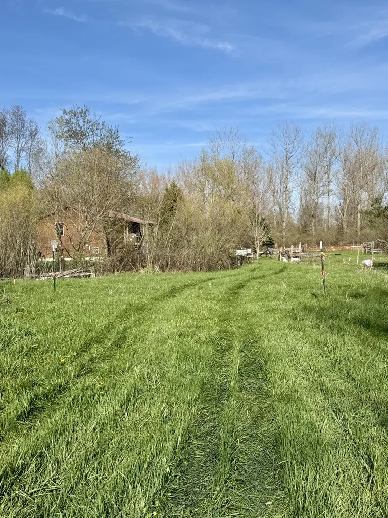 1525 S Poplar Road Custer Township MI 49405