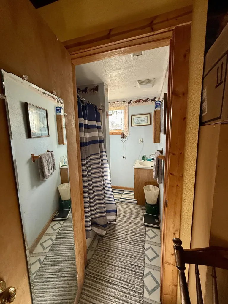1525 S Poplar Road Custer Township MI 49405
