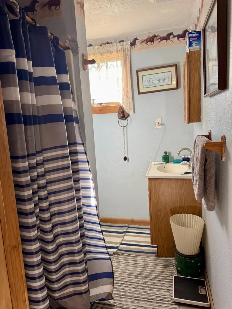 1525 S Poplar Road Custer Township MI 49405