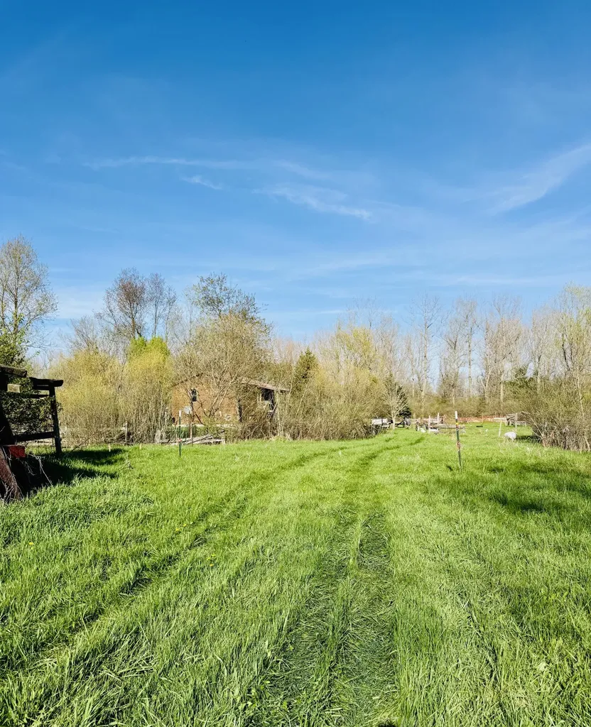 1525 S Poplar Road Custer Township MI 49405