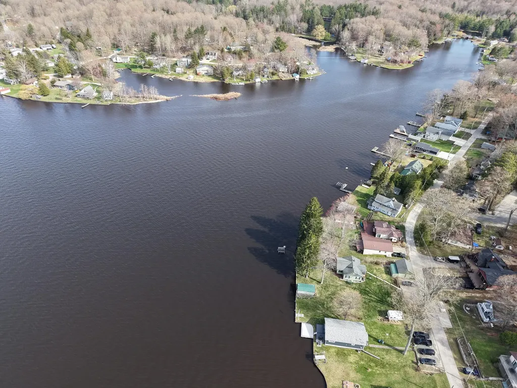 6292 Grace Avenue Hamlin Township MI 49431