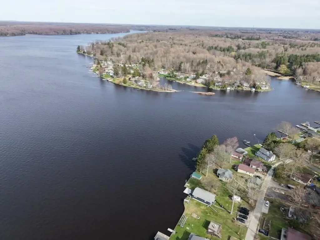 6292 Grace Avenue Hamlin Township MI 49431