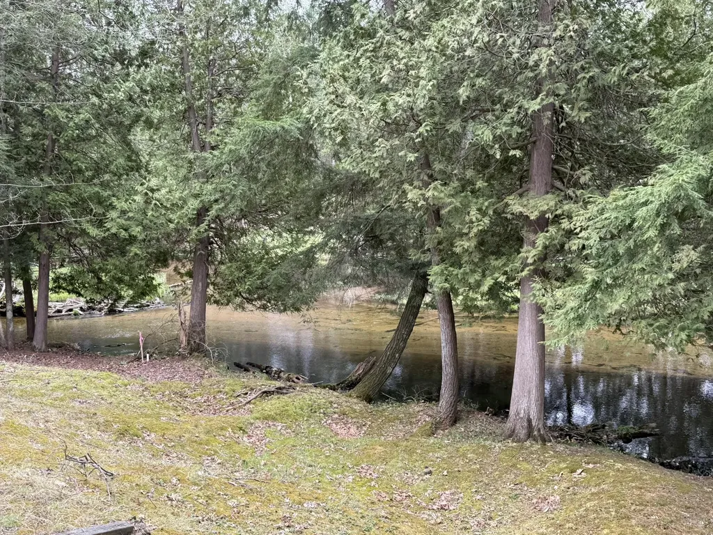 4699 N Able Road Sauble Township MI 49644