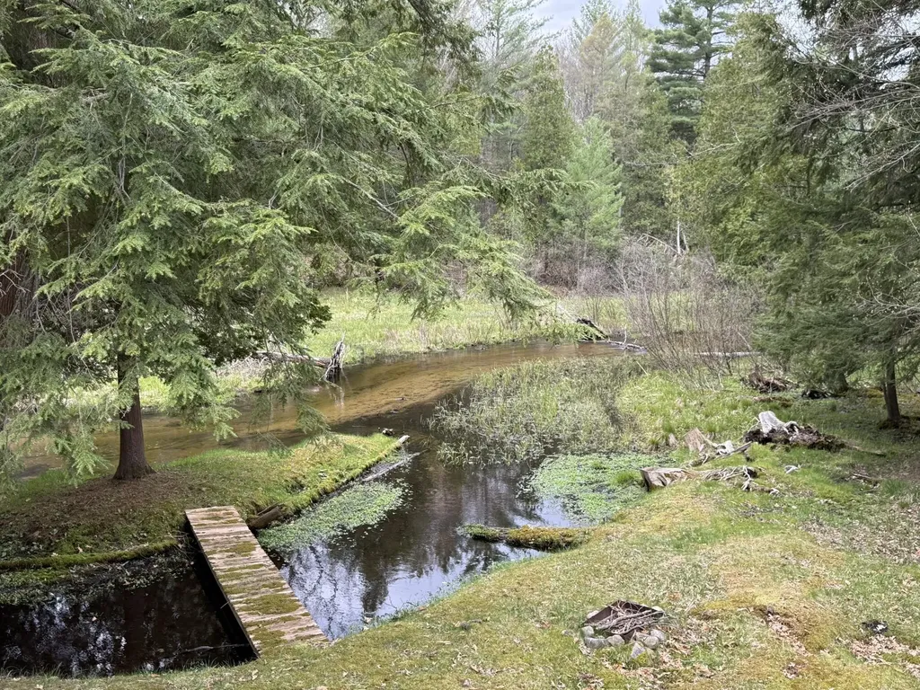 4699 N Able Road Sauble Township MI 49644