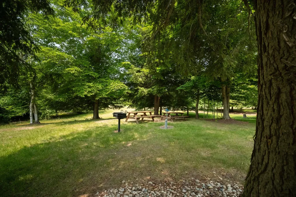 10201 Opal Ridge Drive Onekama Township MI 49675