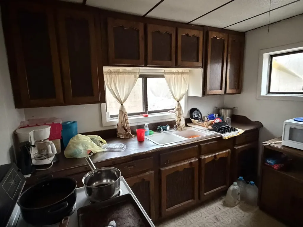 690 E Essex Drive Yates Township MI 49642
