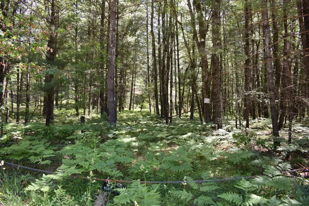 5199 E Marquette Trail Yates Township MI 49623