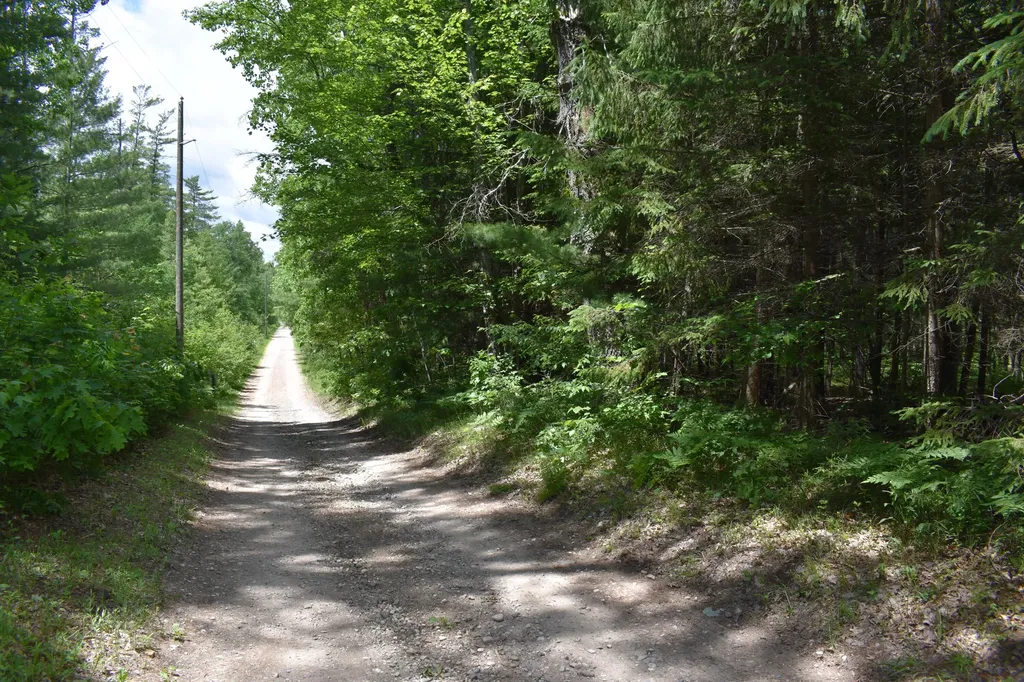5199 E Marquette Trail Yates Township MI 49623