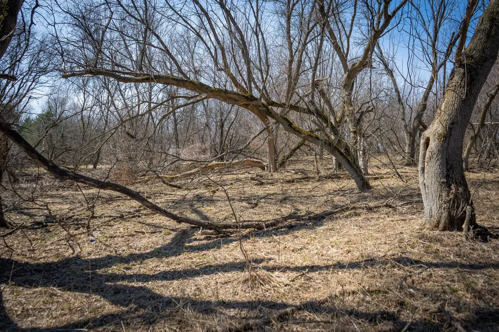 3338 W Abbey Road Hart Township MI 49420
