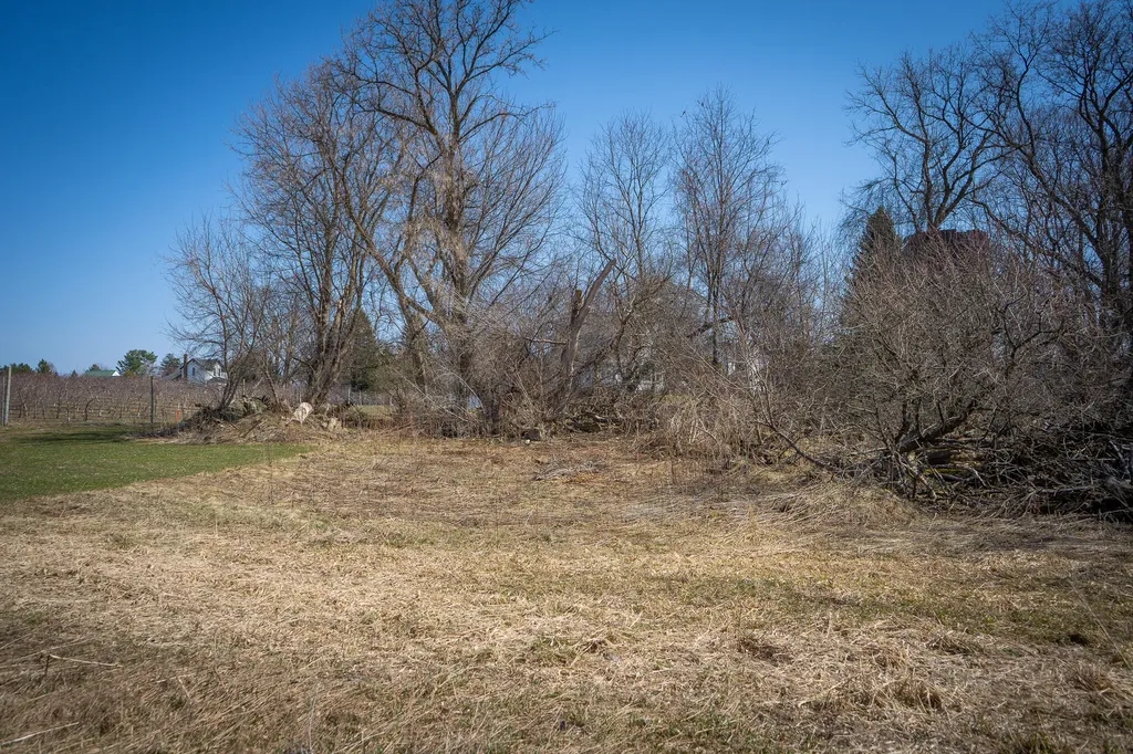 3338 W Abbey Road Hart Township MI 49420