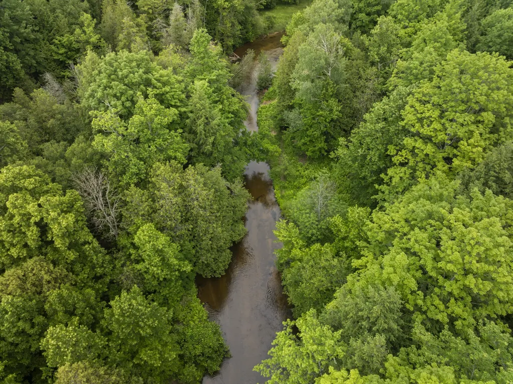 15620 Betsie River Drive Springdale Township MI 49683