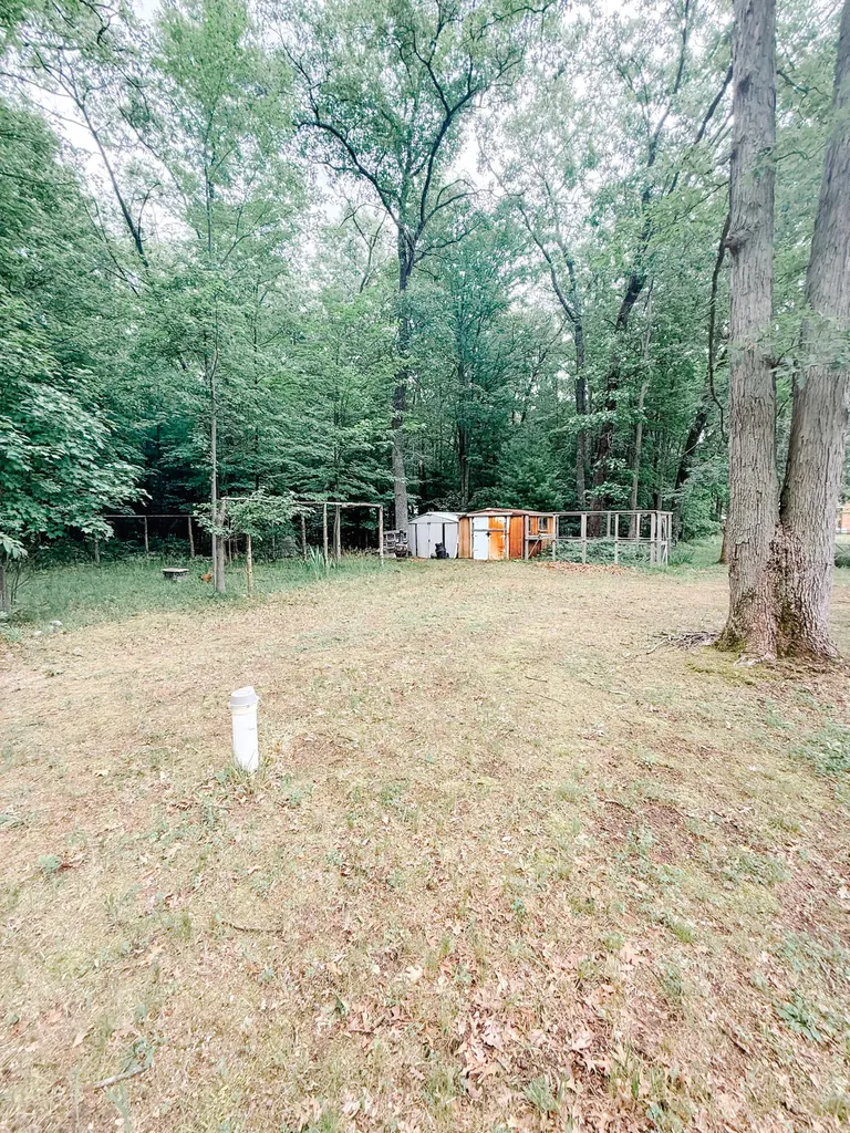 7704 Pine Creek Road Stronach Township MI 49660