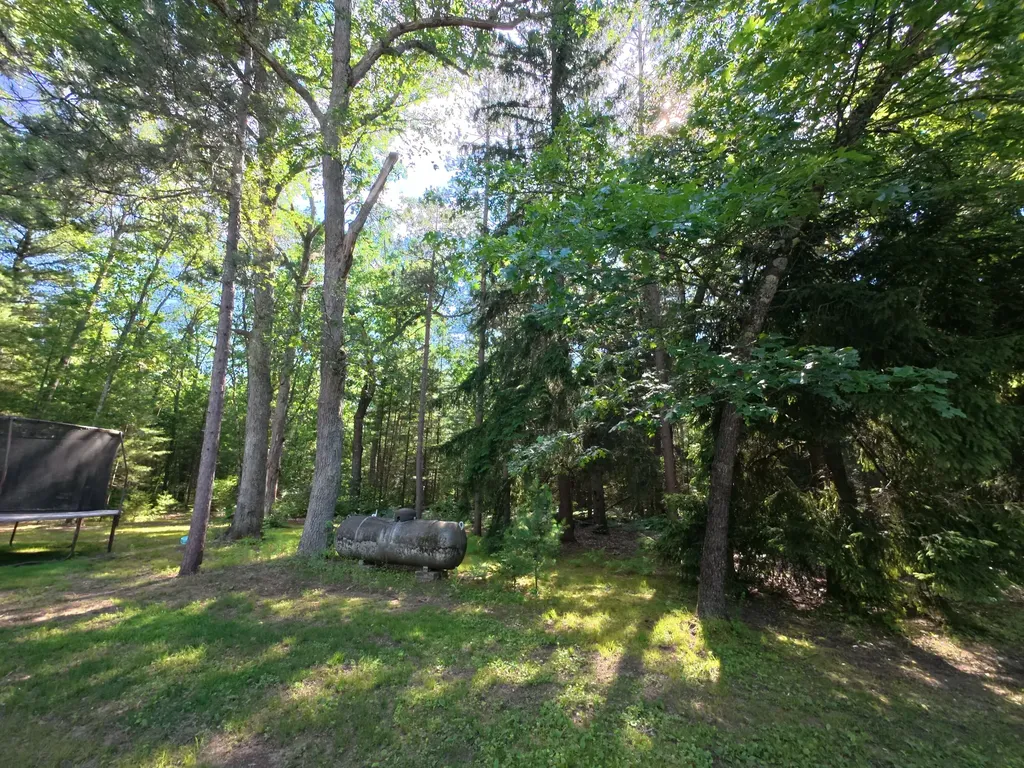 18233 Old House Road Norman Township MI 49689