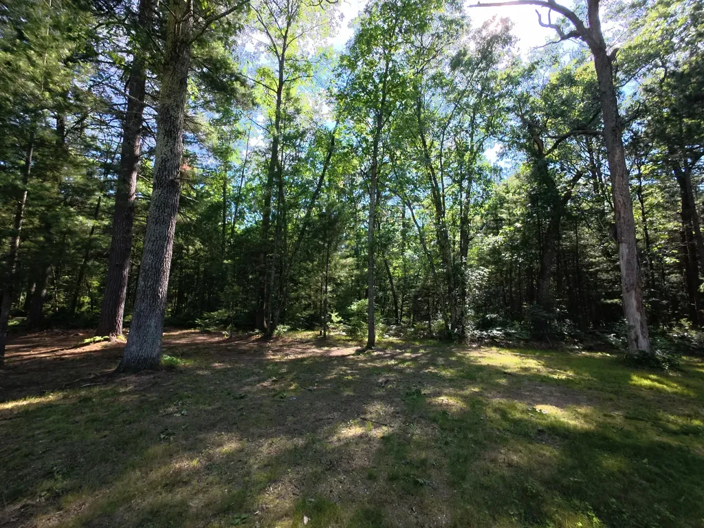 18233 Old House Road Norman Township MI 49689