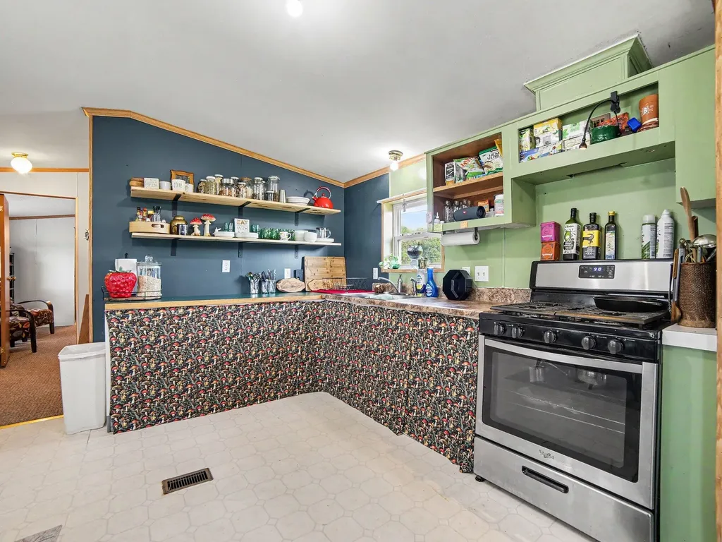 3598 N 64th Avenue Hart City MI 49420