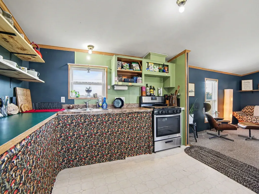 3598 N 64th Avenue Hart City MI 49420