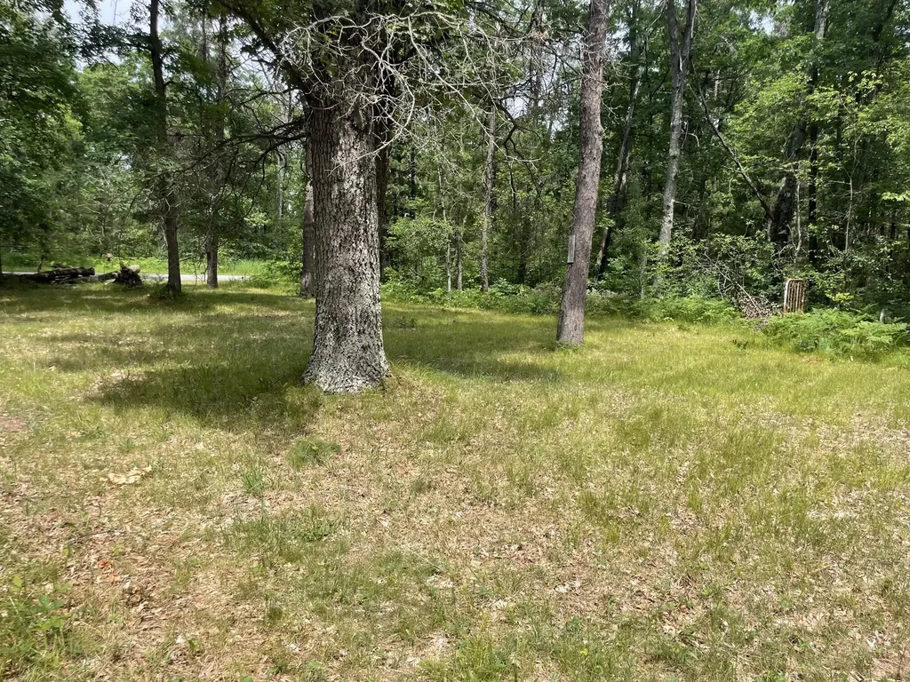 3484 N Kings Highway Newkirk Township MI 49656