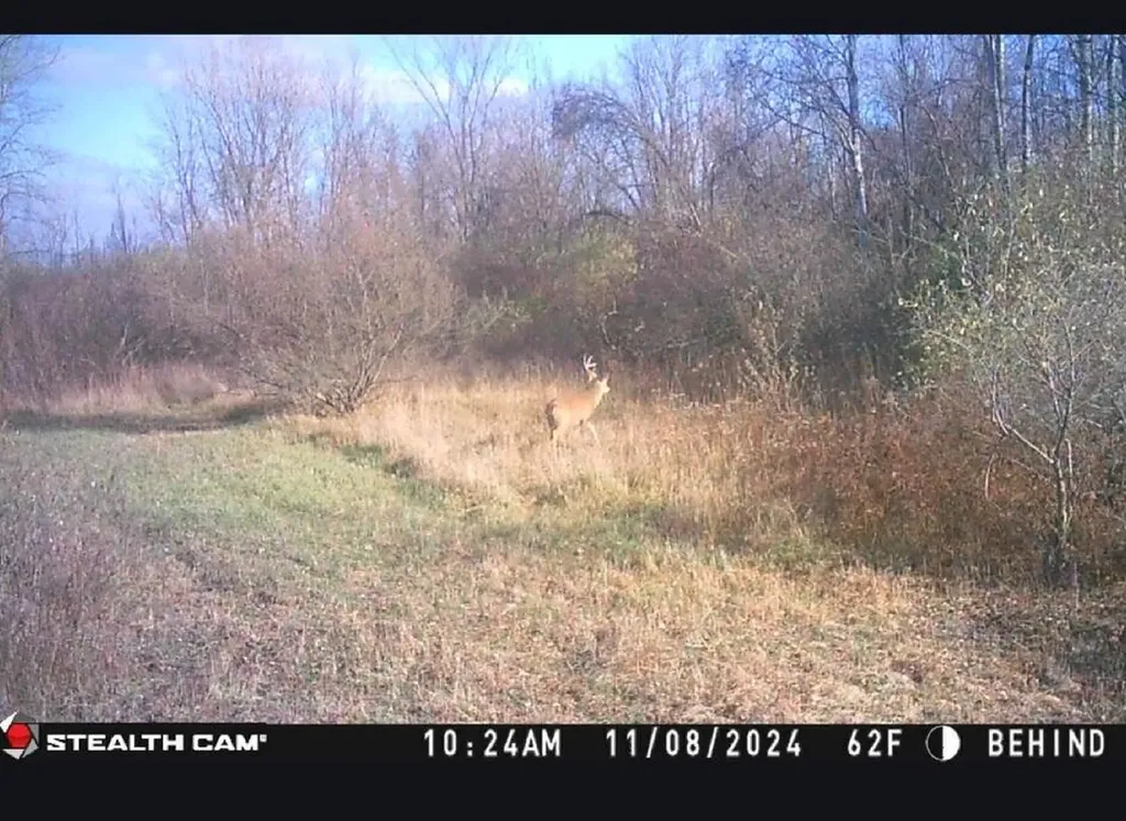 959 E Us Highway 10 Custer Township MI 49454