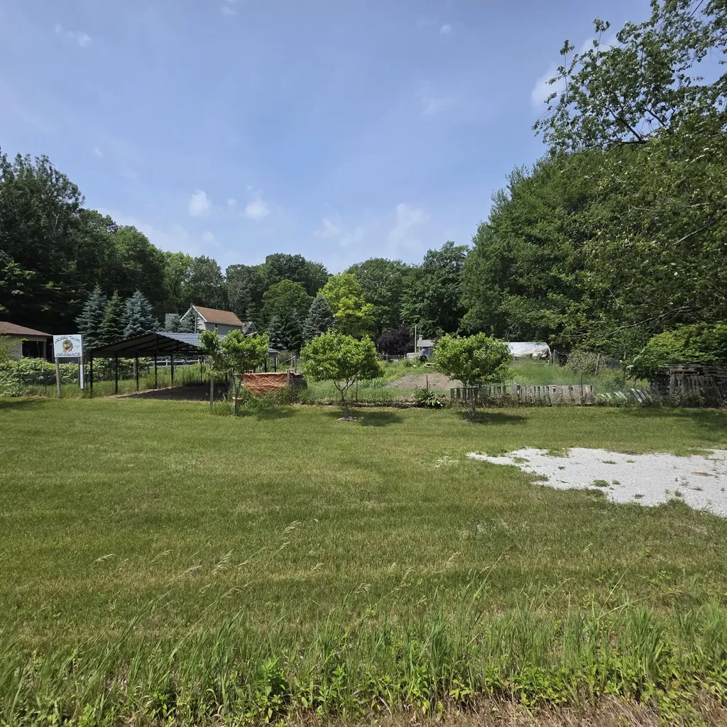 4244 S Paybowme Trail Benona Township MI 49455
