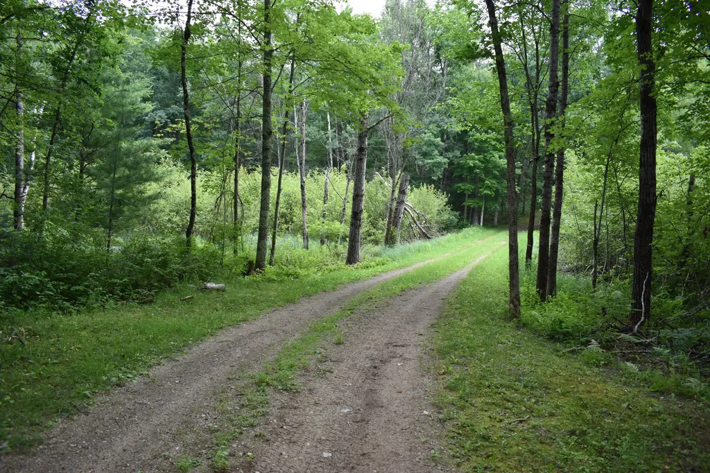 2194 W Jab Drive Pleasant Plains Township MI 49304