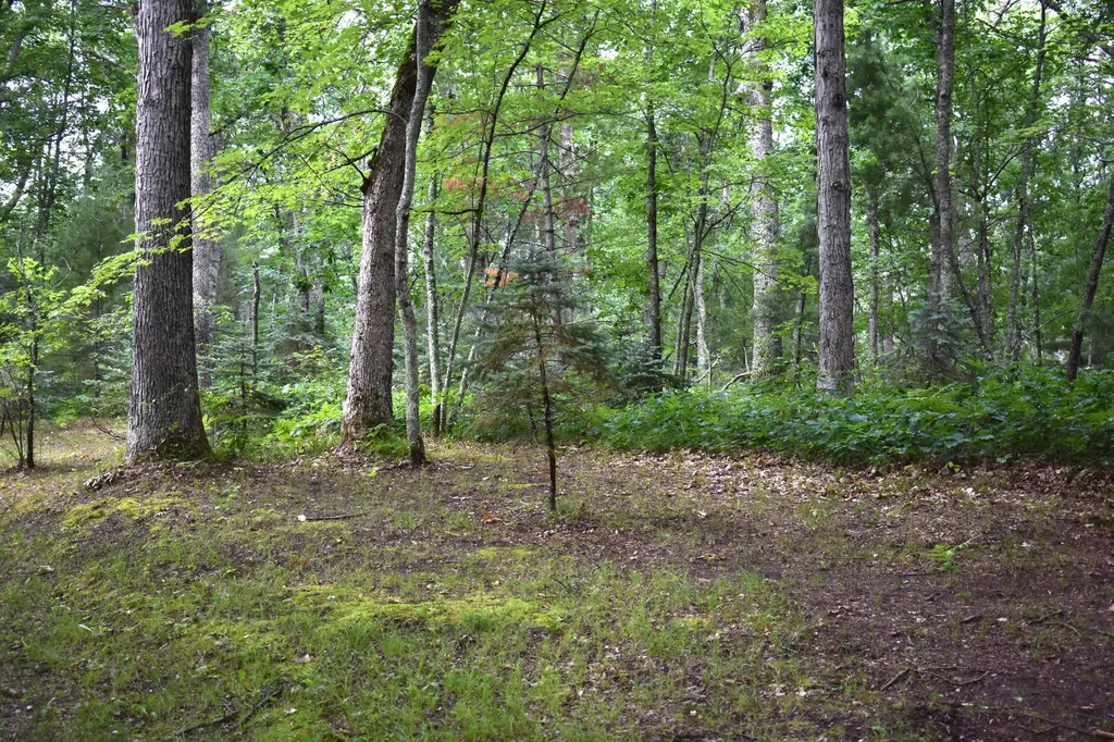 2194 W Jab Drive Pleasant Plains Township MI 49304