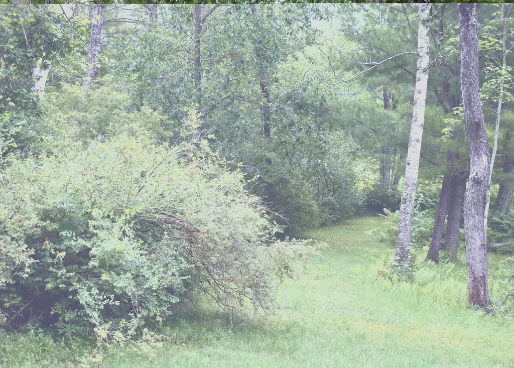 2194 W Jab Drive Pleasant Plains Township MI 49304