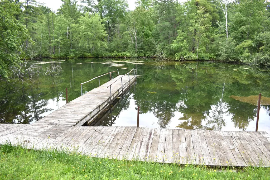 2194 W Jab Drive Pleasant Plains Township MI 49304