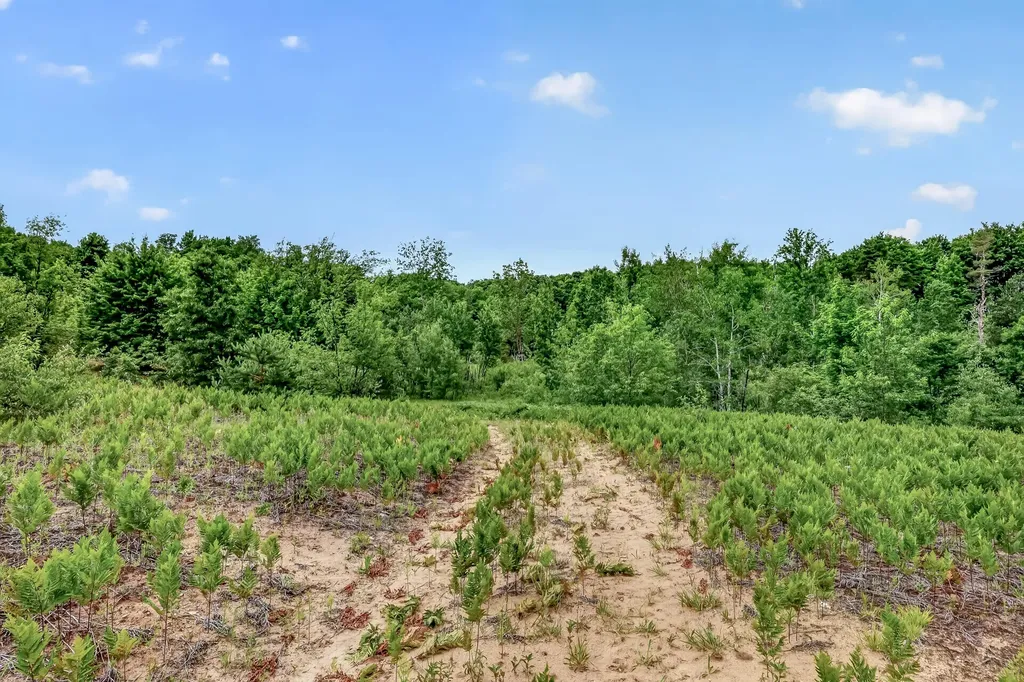 1085 S 96th Avenue Shelby Township MI 49455