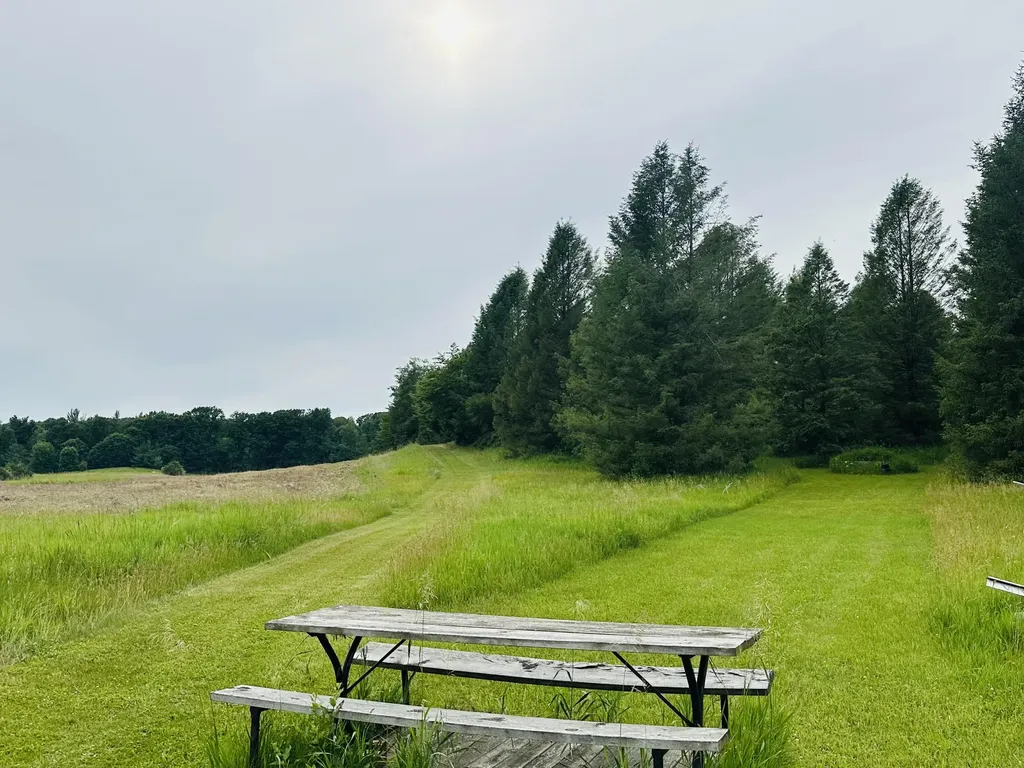 5372 Milarch Road Manistee Township MI 49660