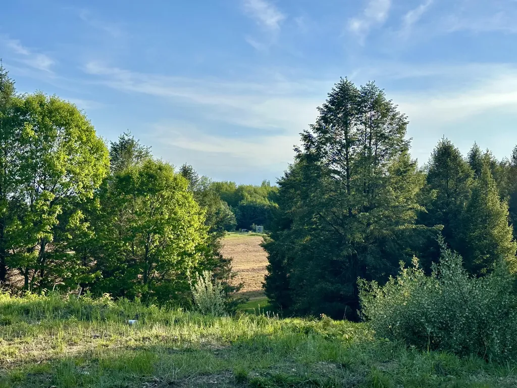 5372 Milarch Road Manistee Township MI 49660