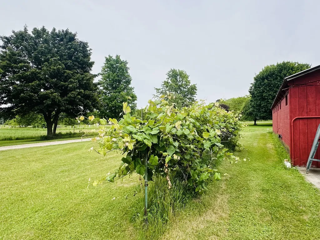 5372 Milarch Road Manistee Township MI 49660