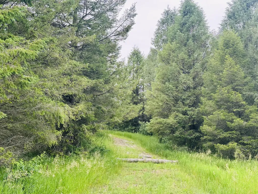 5372 Milarch Road Manistee Township MI 49660