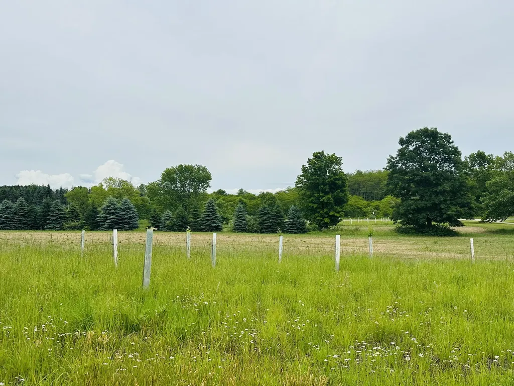 5372 Milarch Road Manistee Township MI 49660