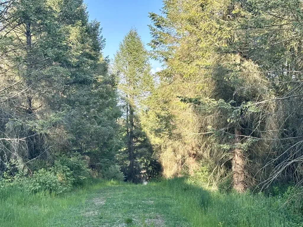 5372 Milarch Road Manistee Township MI 49660