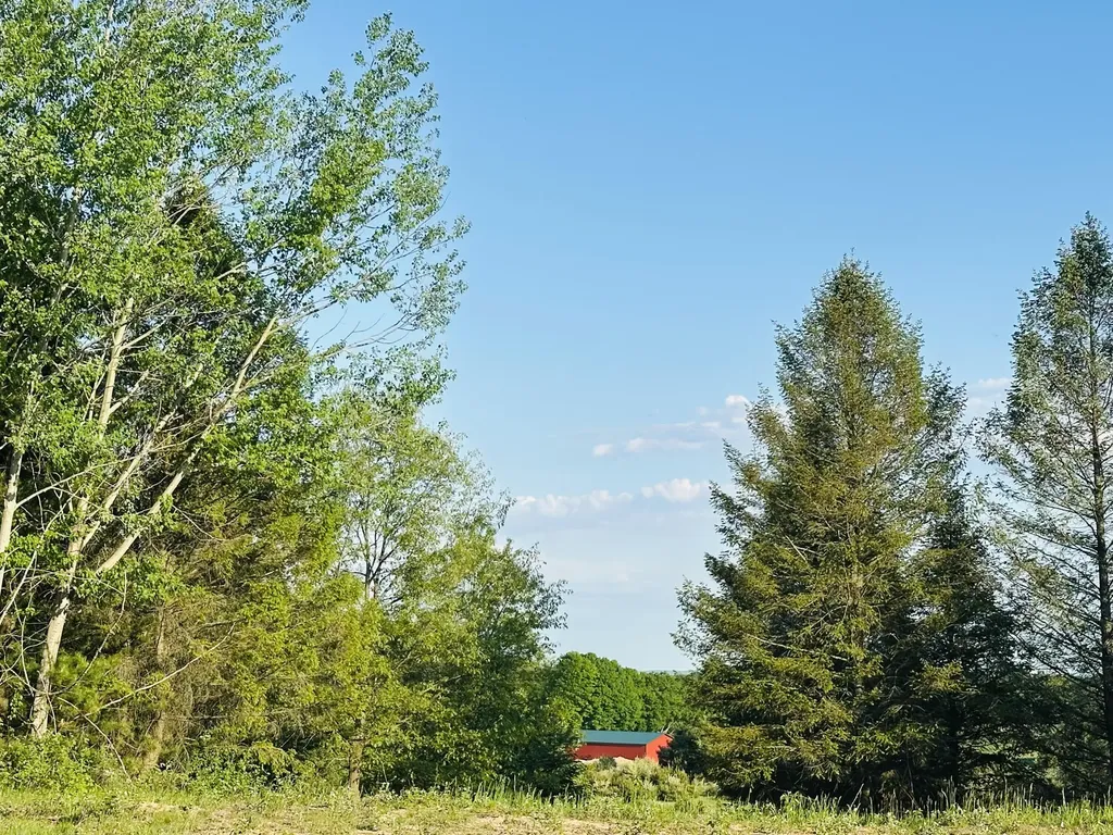 5372 Milarch Road Manistee Township MI 49660