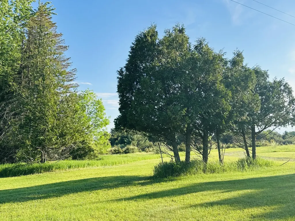 5372 Milarch Road Manistee Township MI 49660