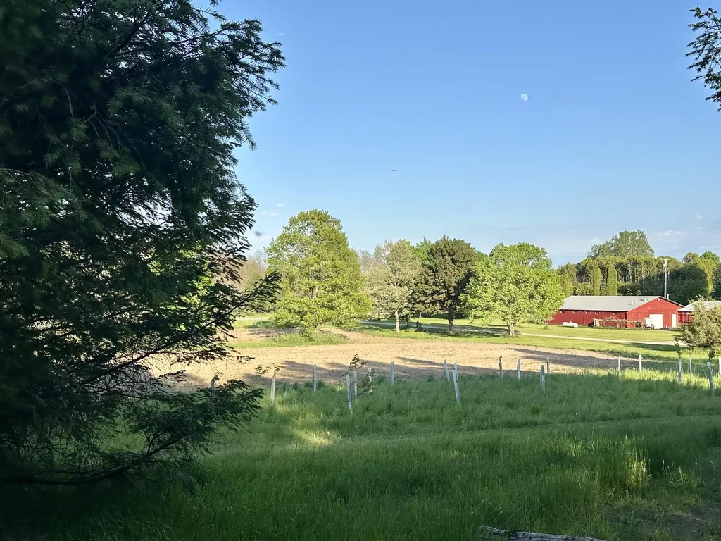 5372 Milarch Road Manistee Township MI 49660