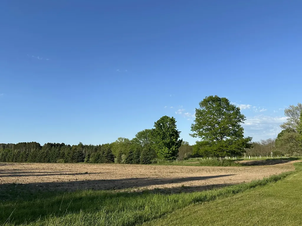 5372 Milarch Road Manistee Township MI 49660