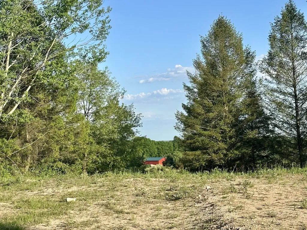 5372 Milarch Road Manistee Township MI 49660