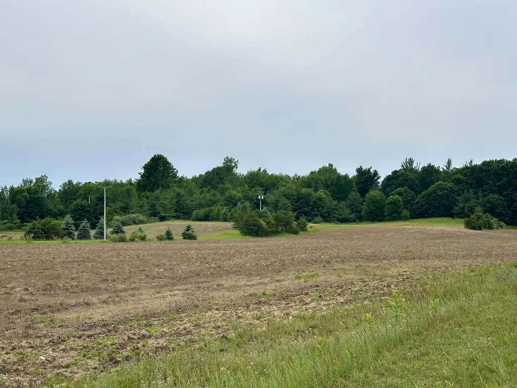 5372 Milarch Road Manistee Township MI 49660