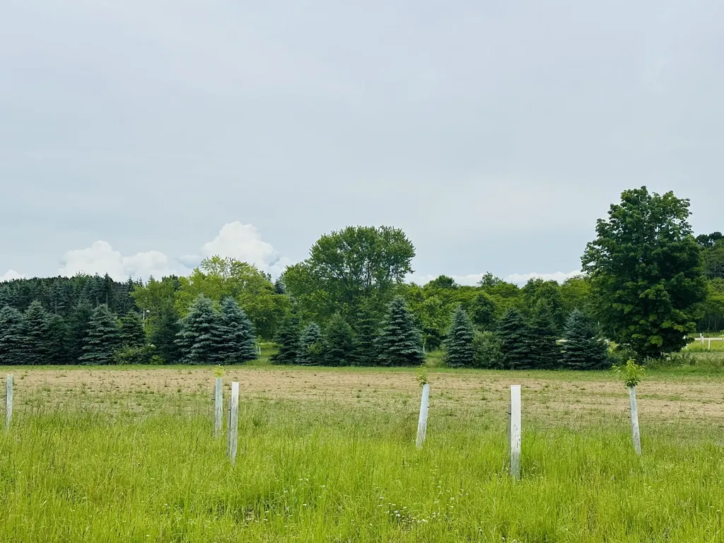 5372 Milarch Road Manistee Township MI 49660